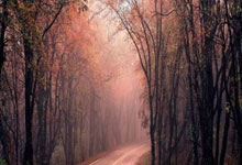 ayxsports-久保建英成焦点，星空西甲体育报道皇家社会坚守核心