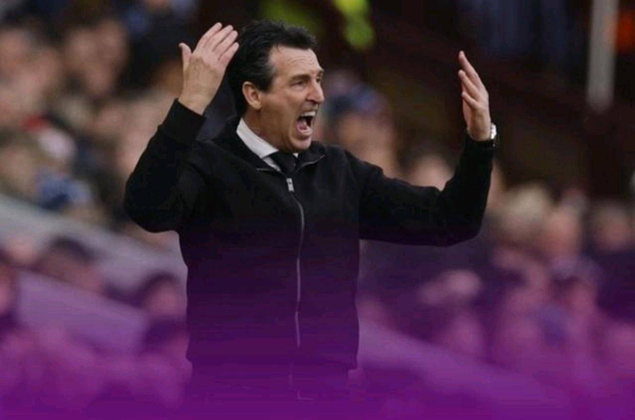 爱游戏体育app-英超第15轮阿斯顿维拉2-1阿森纳